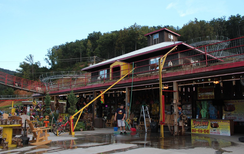 Goats on the Roof of the Smoky Mountains, United States